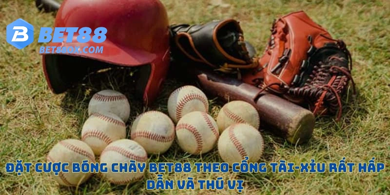 Cổng cược tài xỉu là lựa chọn rất hay ho, thú vị
