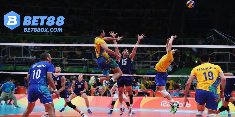 Lý do nên tham gia cá cược bóng chuyền Bet88