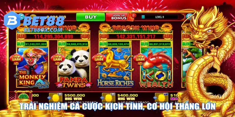 Trải nghiệm cá cược kịch tính, cơ hội thắng lớn